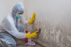 Mold Remediation for Vacation Homes in Rutgers University Livingston Campus, NJ